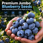 🫐 Blueberry Seeds: Perfect for beginners—grow fresh blueberries right on your balcony! Up to a 99% survival rate! 🌸