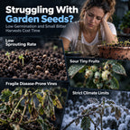 🫐 Blueberry Seeds: Perfect for beginners—grow fresh blueberries right on your balcony! Up to a 99% survival rate! 🌸