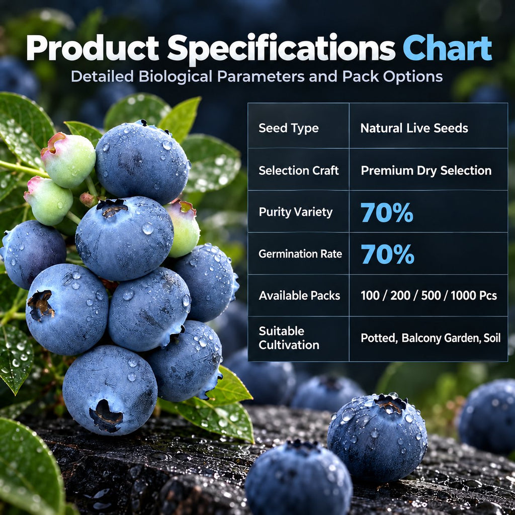 🫐 Blueberry Seeds: Perfect for beginners—grow fresh blueberries right on your balcony! Up to a 99% survival rate! 🌸